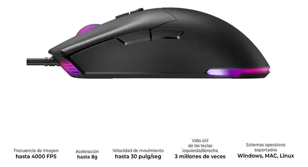 Imagen 3