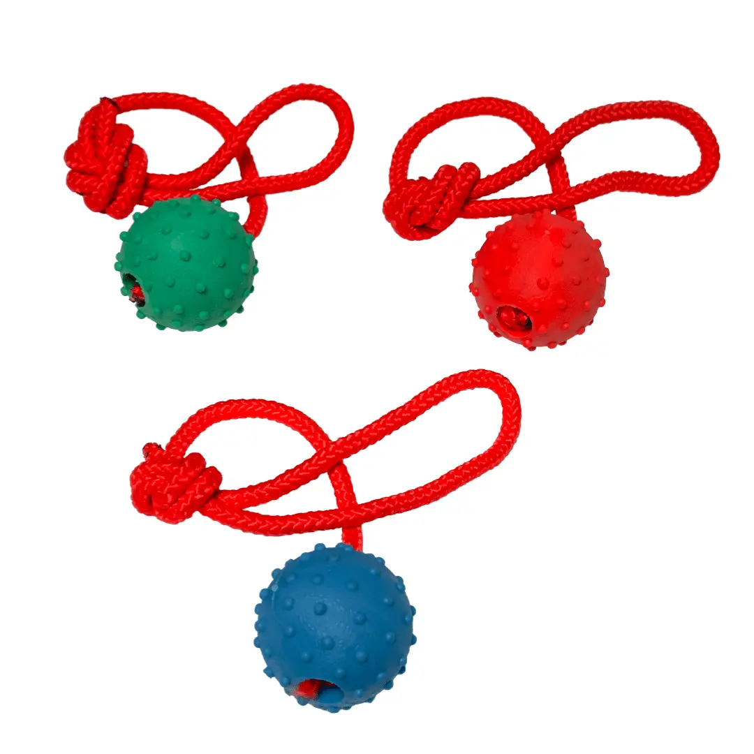 Pelota Con Lazo Para Mascota 00359