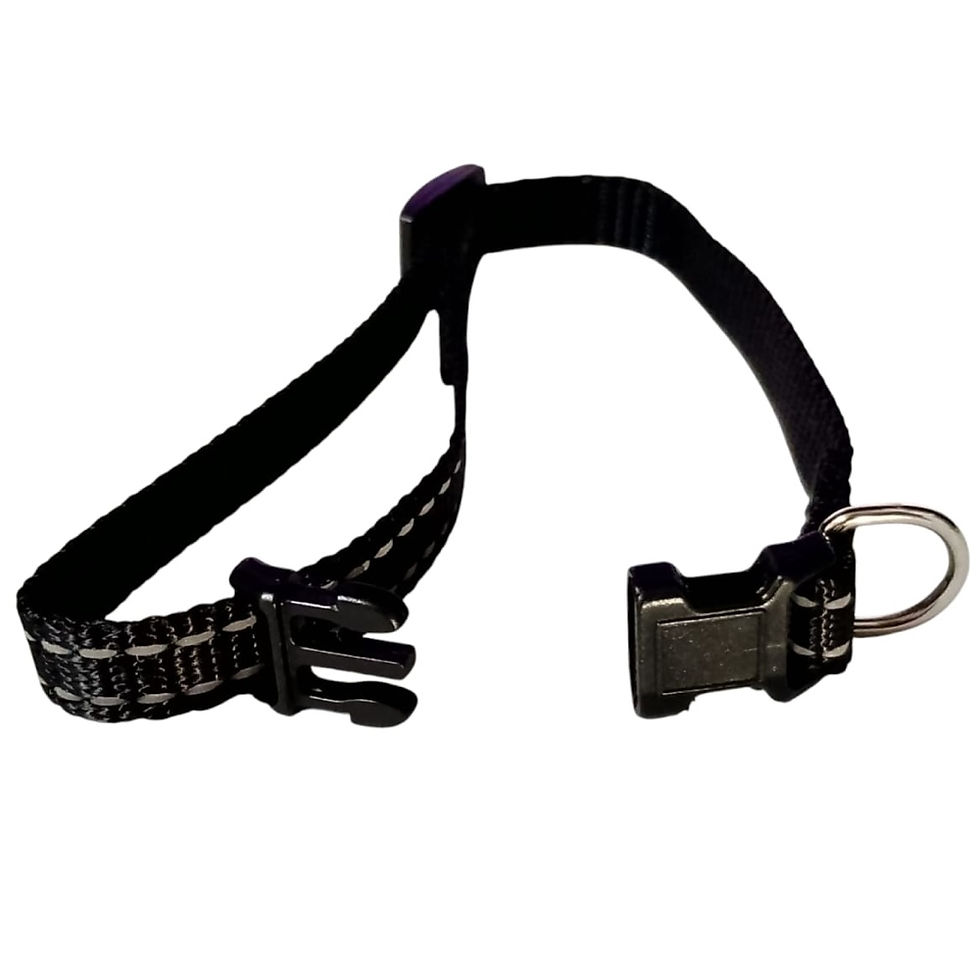 Miniatura: Collar Para Perro De Nylon Bandas Reflejantes