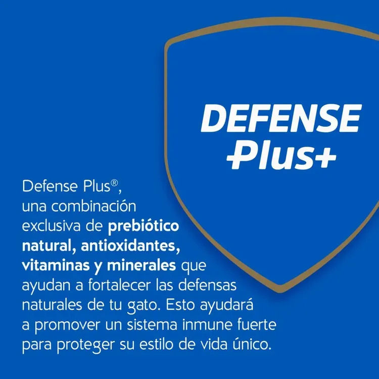 Miniatura: Purina Cat Chow Adulto Seco Carne Para Gato 1.5kg