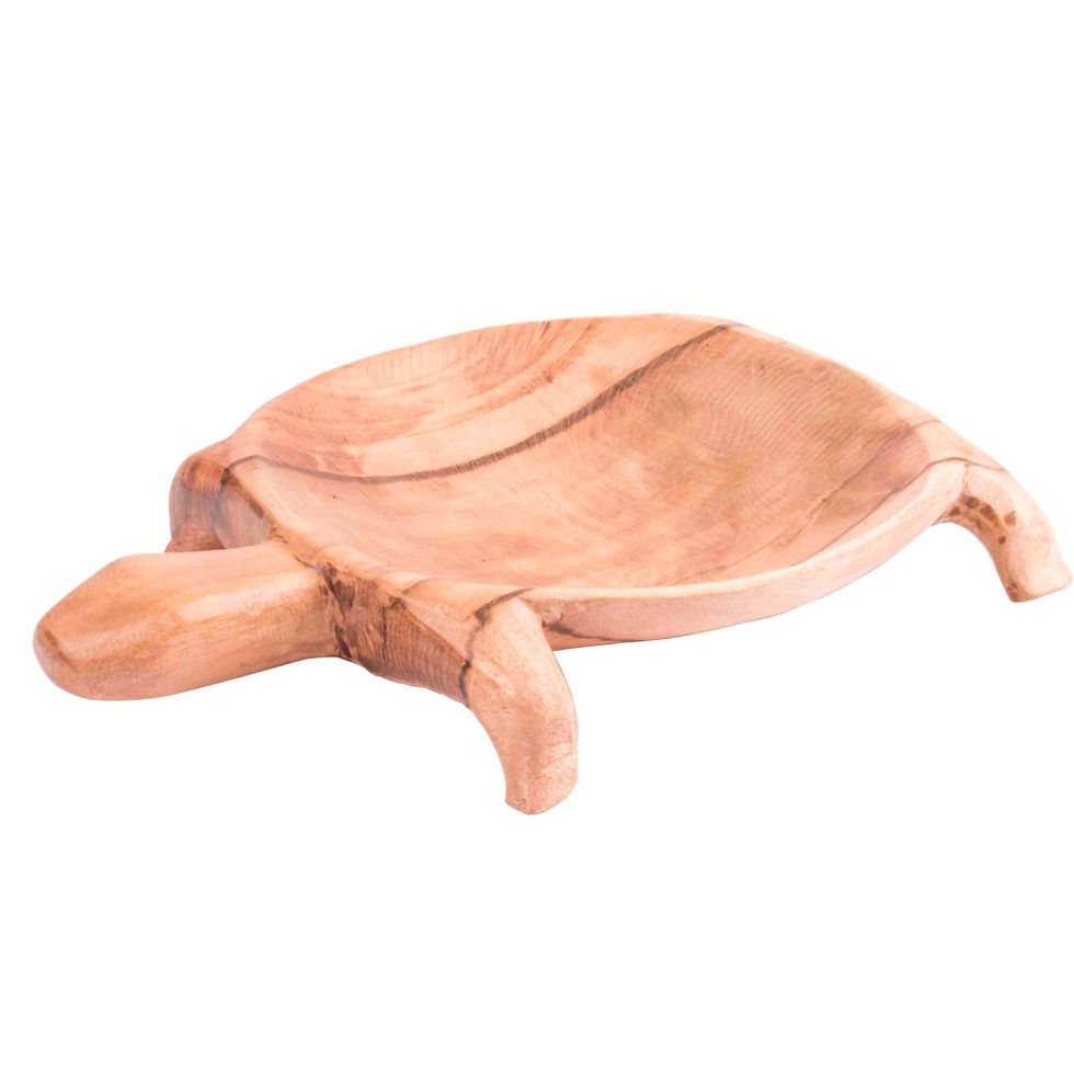 Cachivaches Tortuga Artesanías En Antigüedades