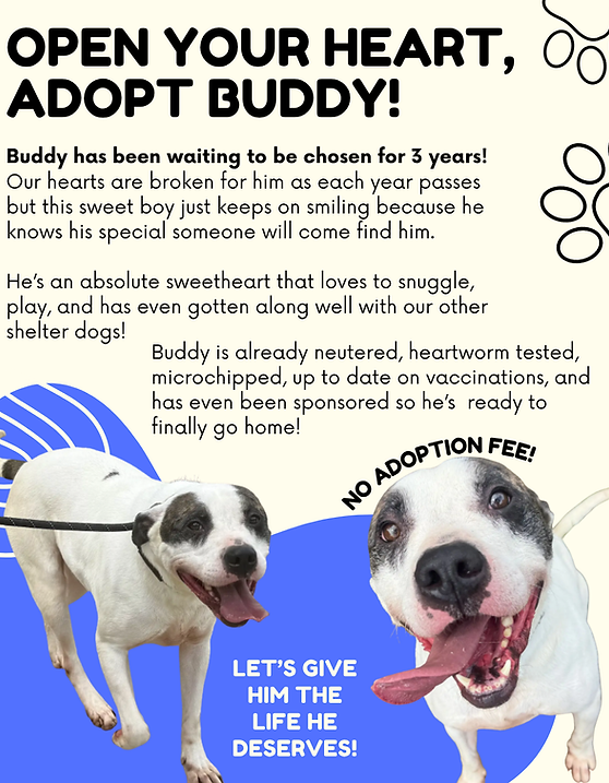 Buddy 4.png