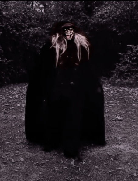 22