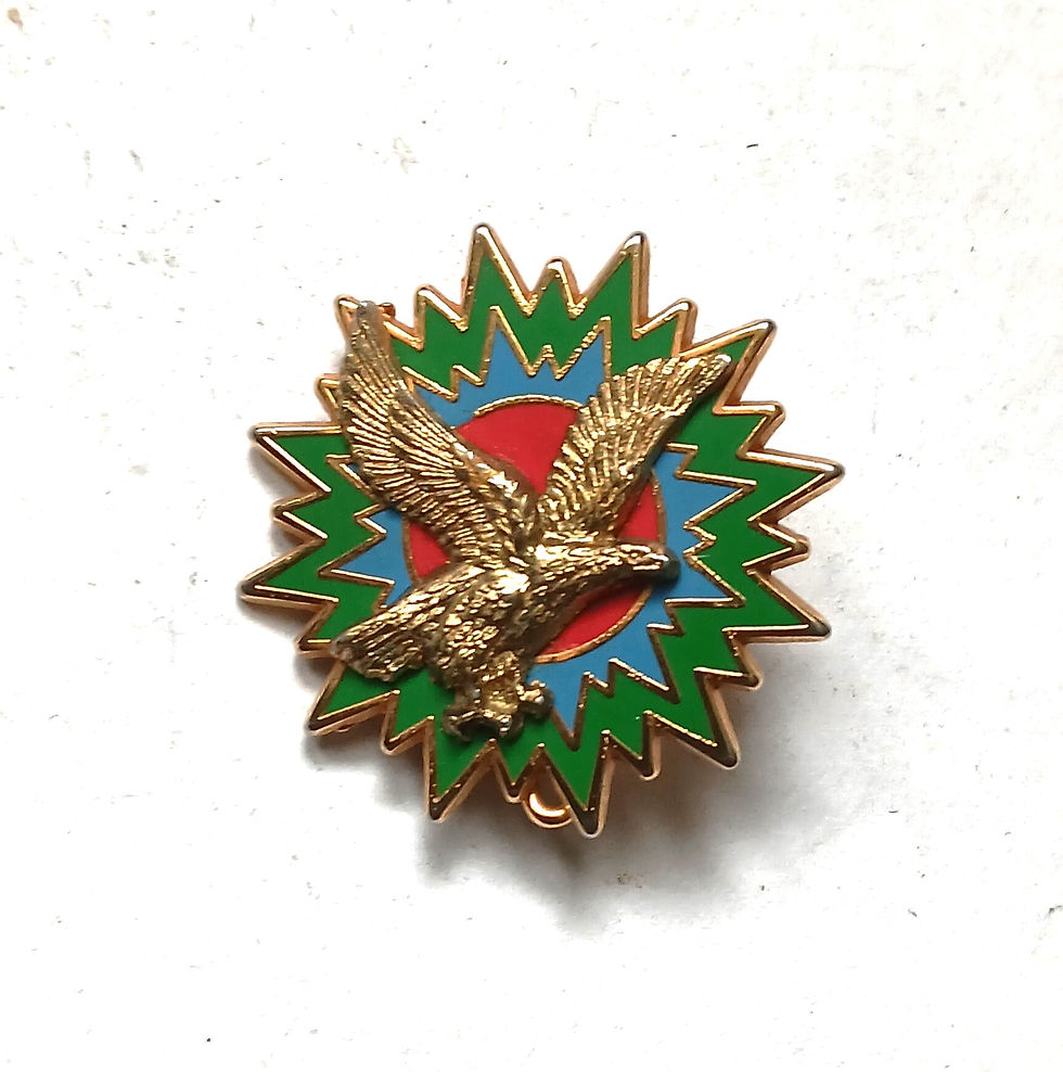 Insigne commandement - FR306604a  E.M. - F.A.T.A.C. - 1° Région Aérienne