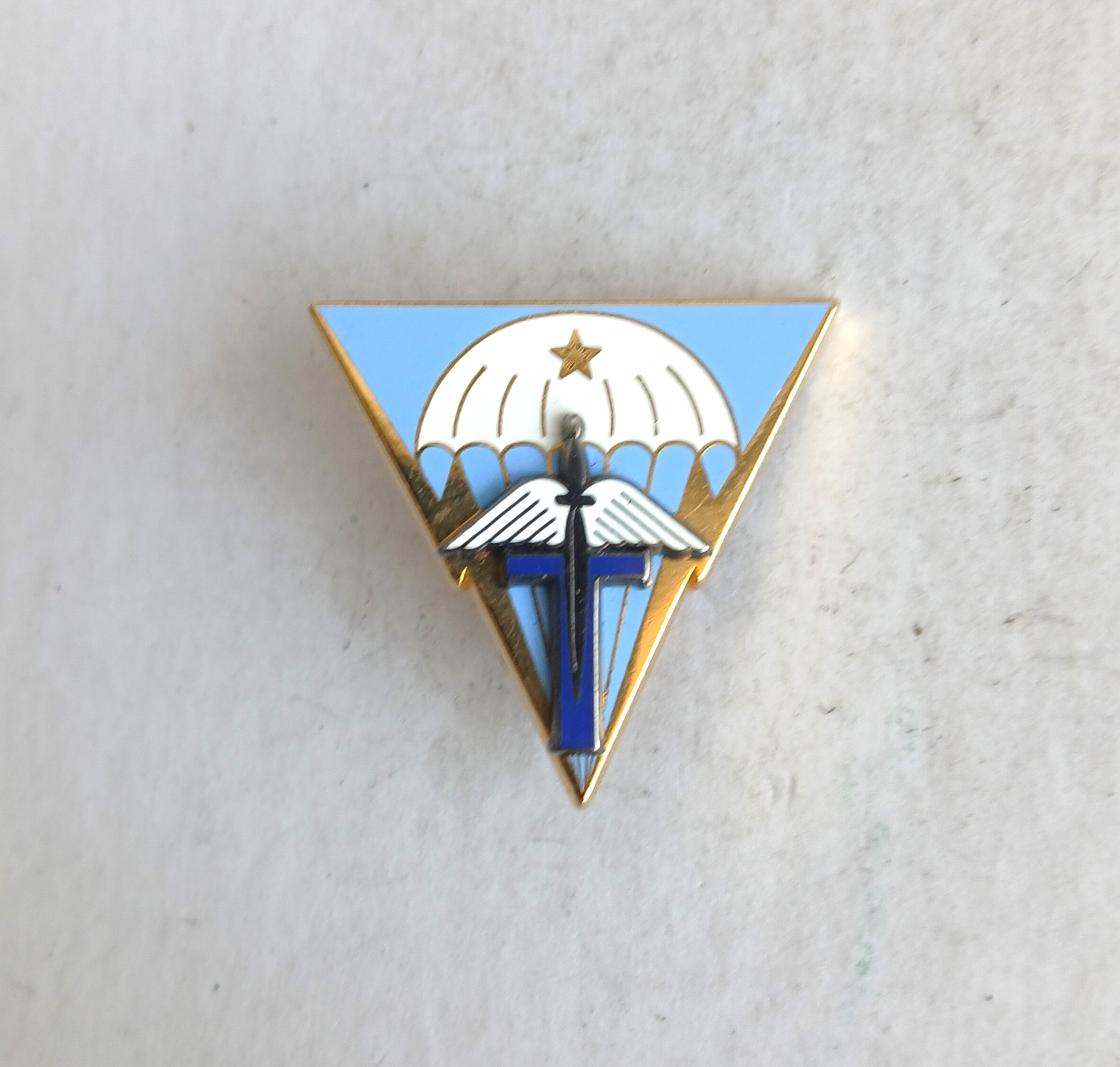 Insigne F.S - FR455110a Cie de Commandement et Transmissions Brigade F.S.T