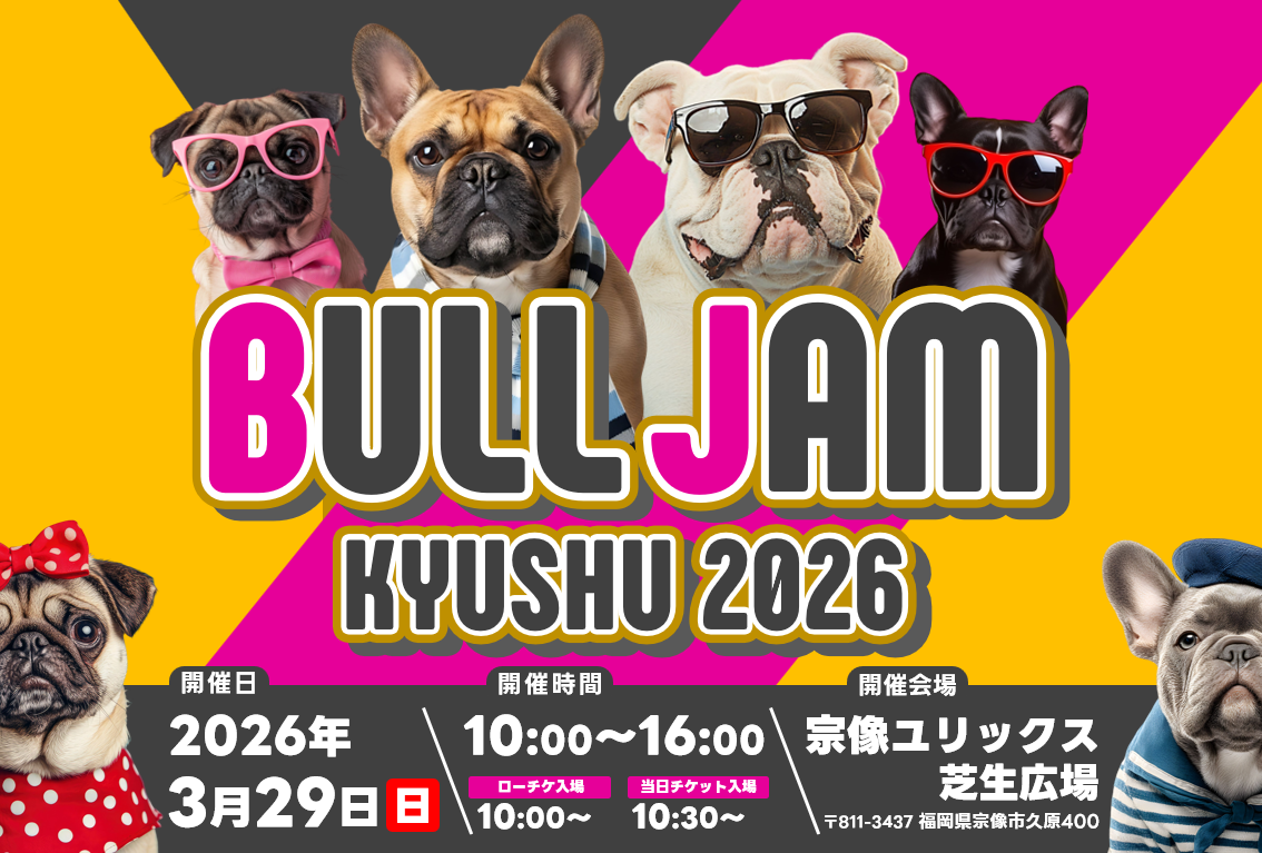 BULL JAM | わんだふる | ブルJAM