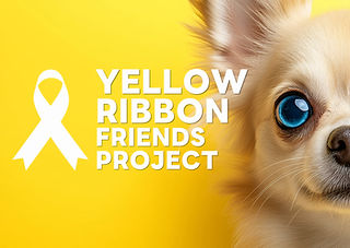 チワワJAM | DOG JAM | わんだふる