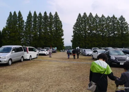P1550317.webp