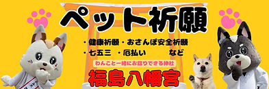 S__48095237.jpg