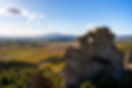 _DSC1013.jpg