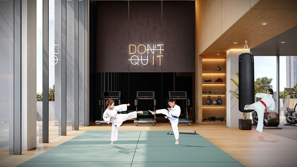 INTERIOR SALON DE ARTES MARCIALES.jpg