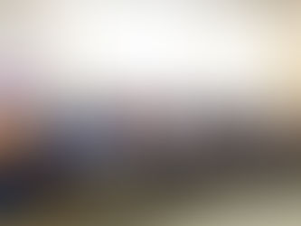 Jornada da Vida é apresentado para a Diretoria Executiva da USE-SP