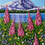 Thumbnail: Denali’s Abundance 
