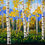 Thumbnail: Fall Glory