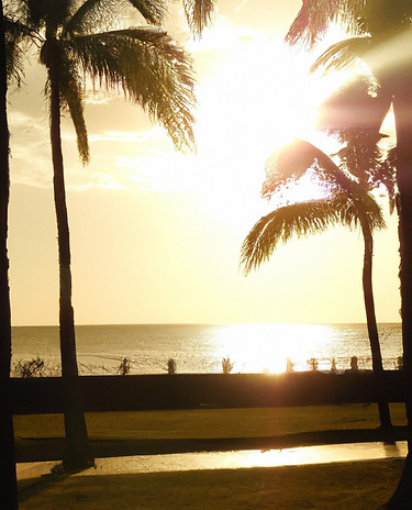 golden beach sunset with palm trees.jpg