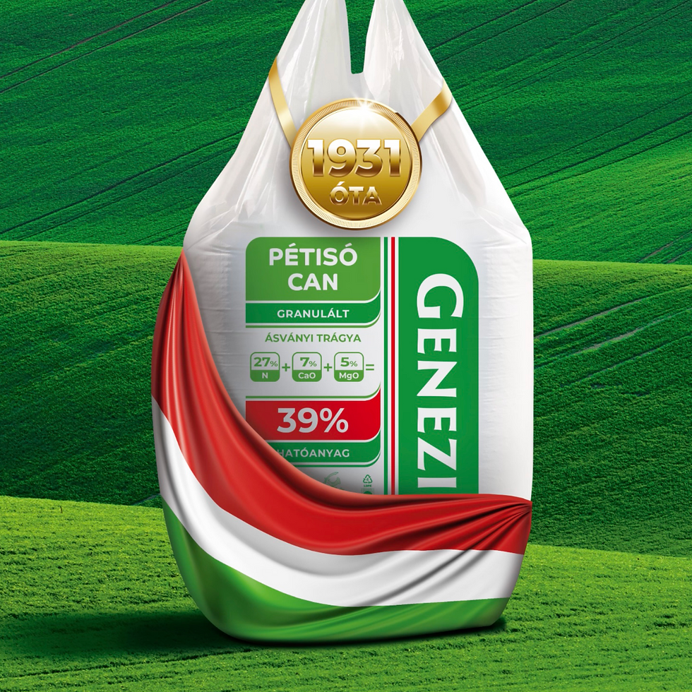 Genezis Pétisó KV