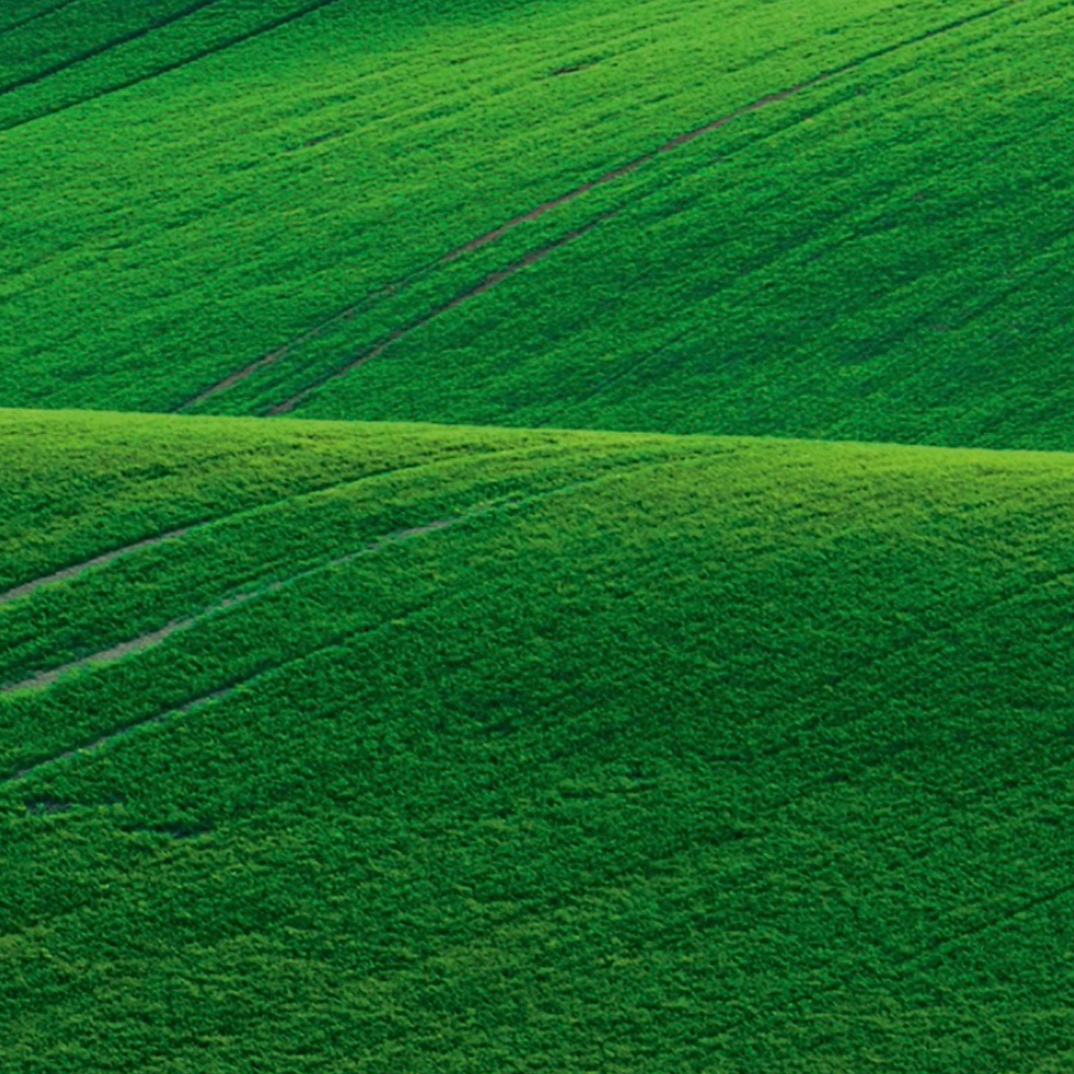 Genezis background image
