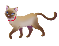 Gato.png