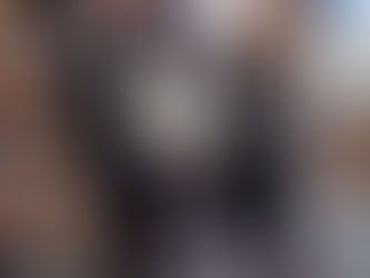 Reflecting on the Hannah Höch Talk in January: Questions, Donations, and Data