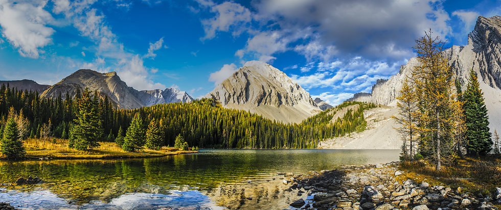 AdobeStock_115914084.jpeg
