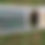 Thumbnail: Mobile quail tractor cage for free-range backyard homesteading.