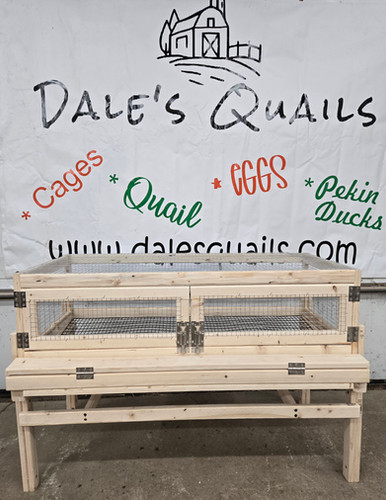 h_quailです Single TierKit | Dale's Quails