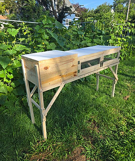 Quail hutch kit for up to 30 birds in backyard homesteading
