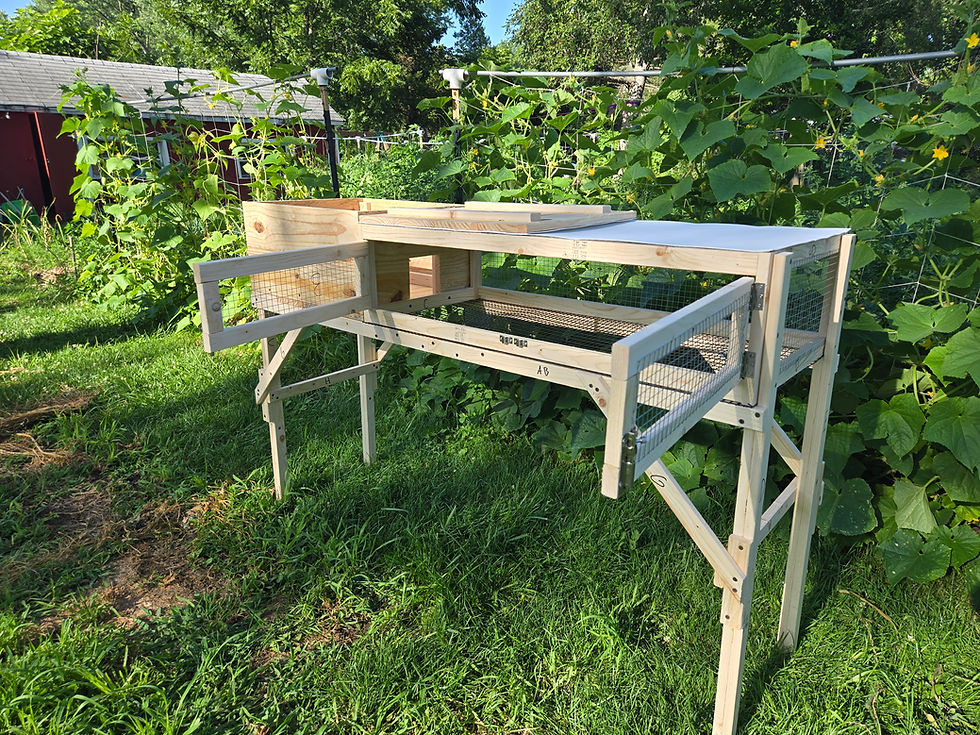 Thumbnail: Quail hutch kit for up to 30 birds in backyard homesteading.