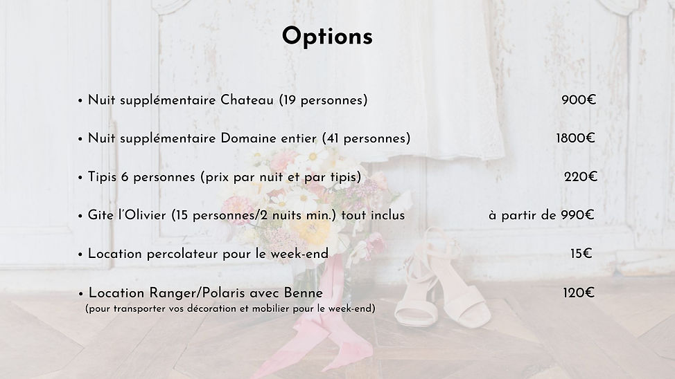 services and options at Château de la Mothe in Dordogne