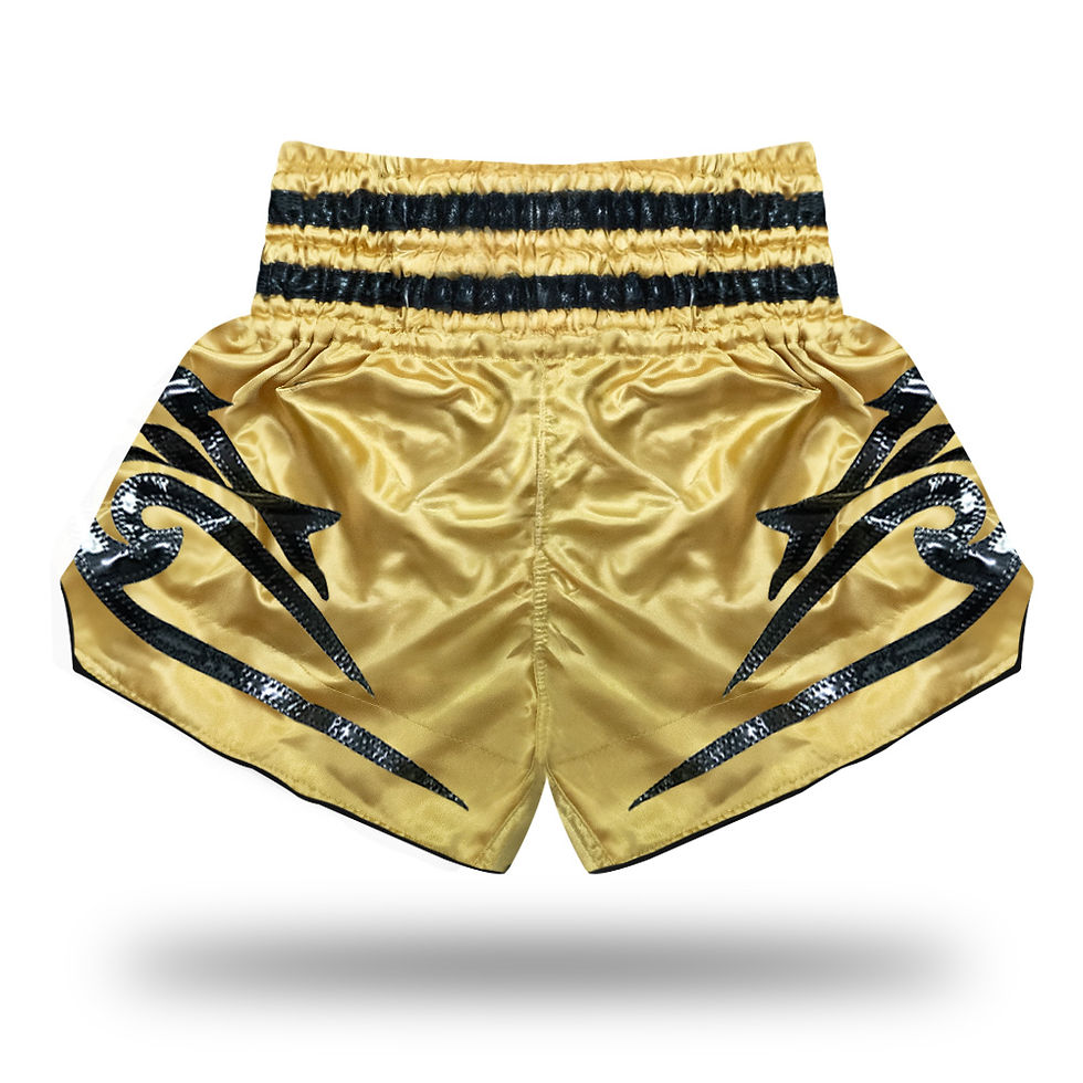 Thumbnail: Top King Black Tiger Muay Thai Shorts Gold TKTBS-265