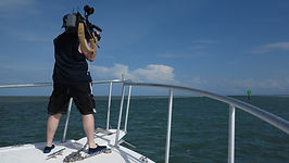 Lionfish Hunt 2014
