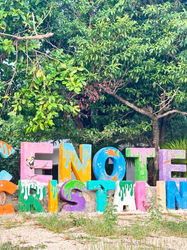 "Exploring the Depths: A Glimpse Behind the Scenes at Cenote Cristalino"