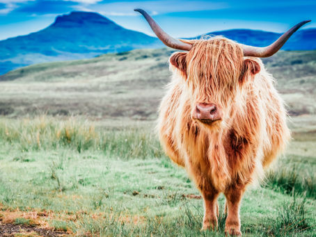 Hassle Free Scotland Road Trip