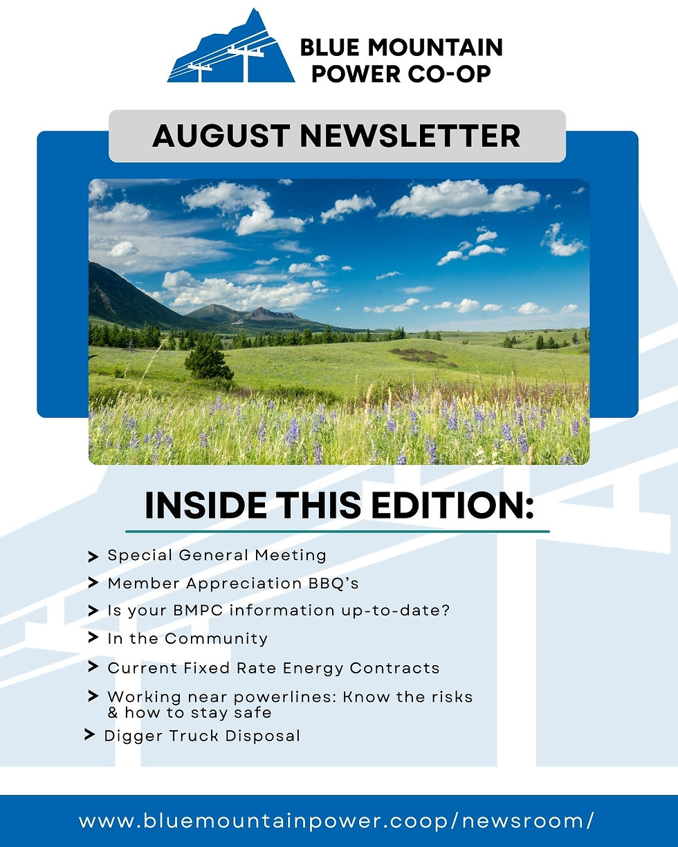 BMPC April Newsletter (4).jpg