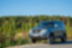suv neumaticos