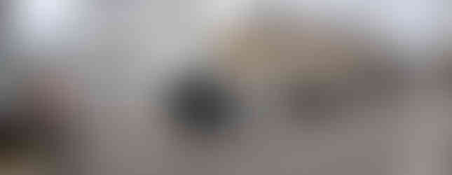 避難訓練で列になり歩く社員