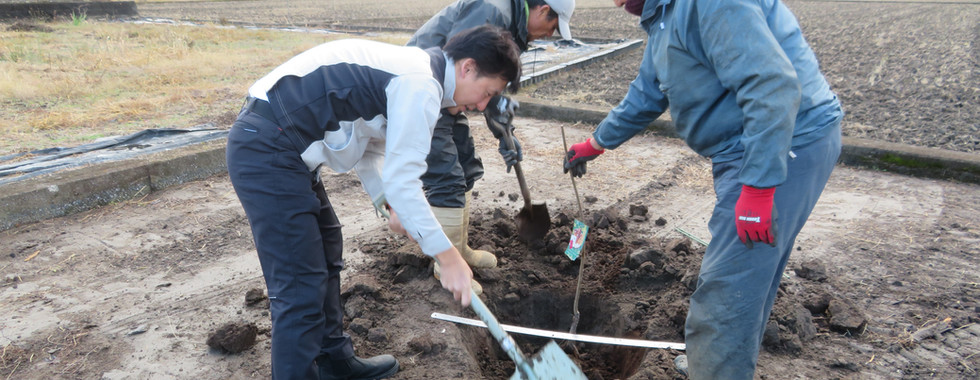 設立20周年を記念して栗の木を植樹