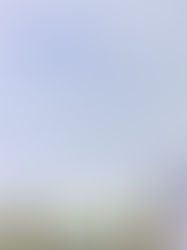 Plan de Acción Climática Rosario 2030: primera reunión