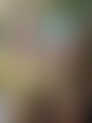 Las acciones climáticas como una oportunidad para reducir las brechas de género