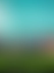 COP15: un marco para proteger la biodiversidad