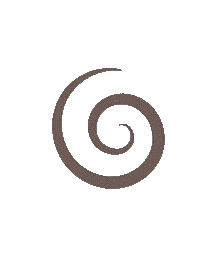 spin.gif