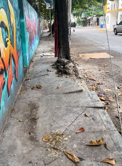 Are you walking the broken sidewalk?