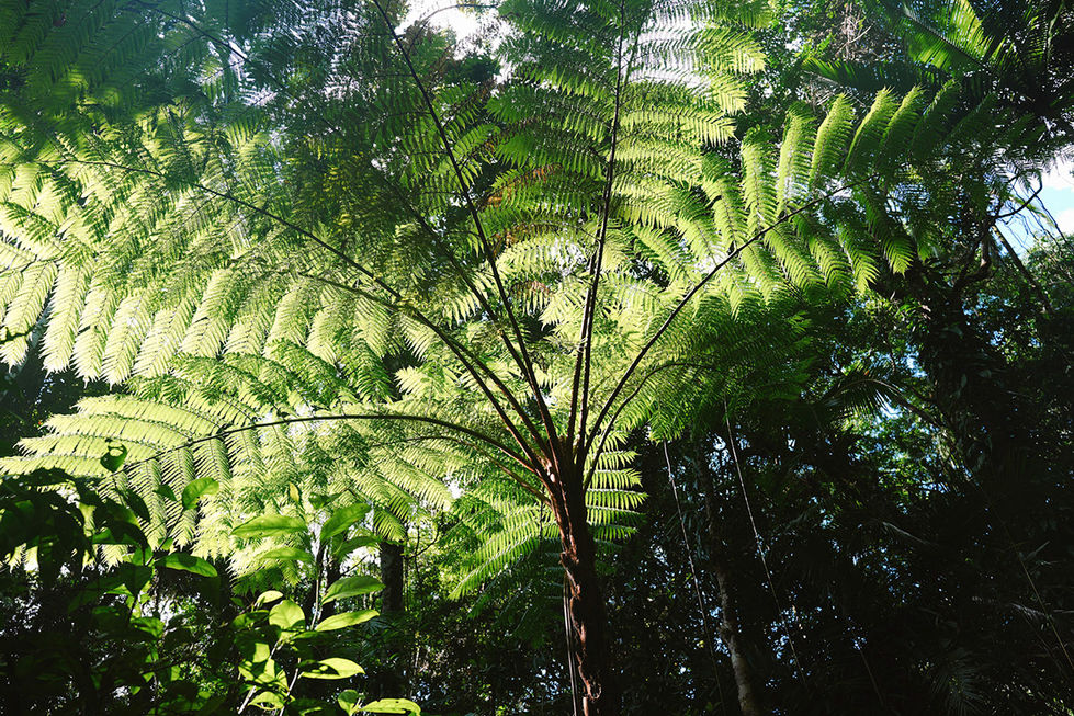 970c4ce9-df22-4aaf-8f37-ec37821cca0a_rw_1200