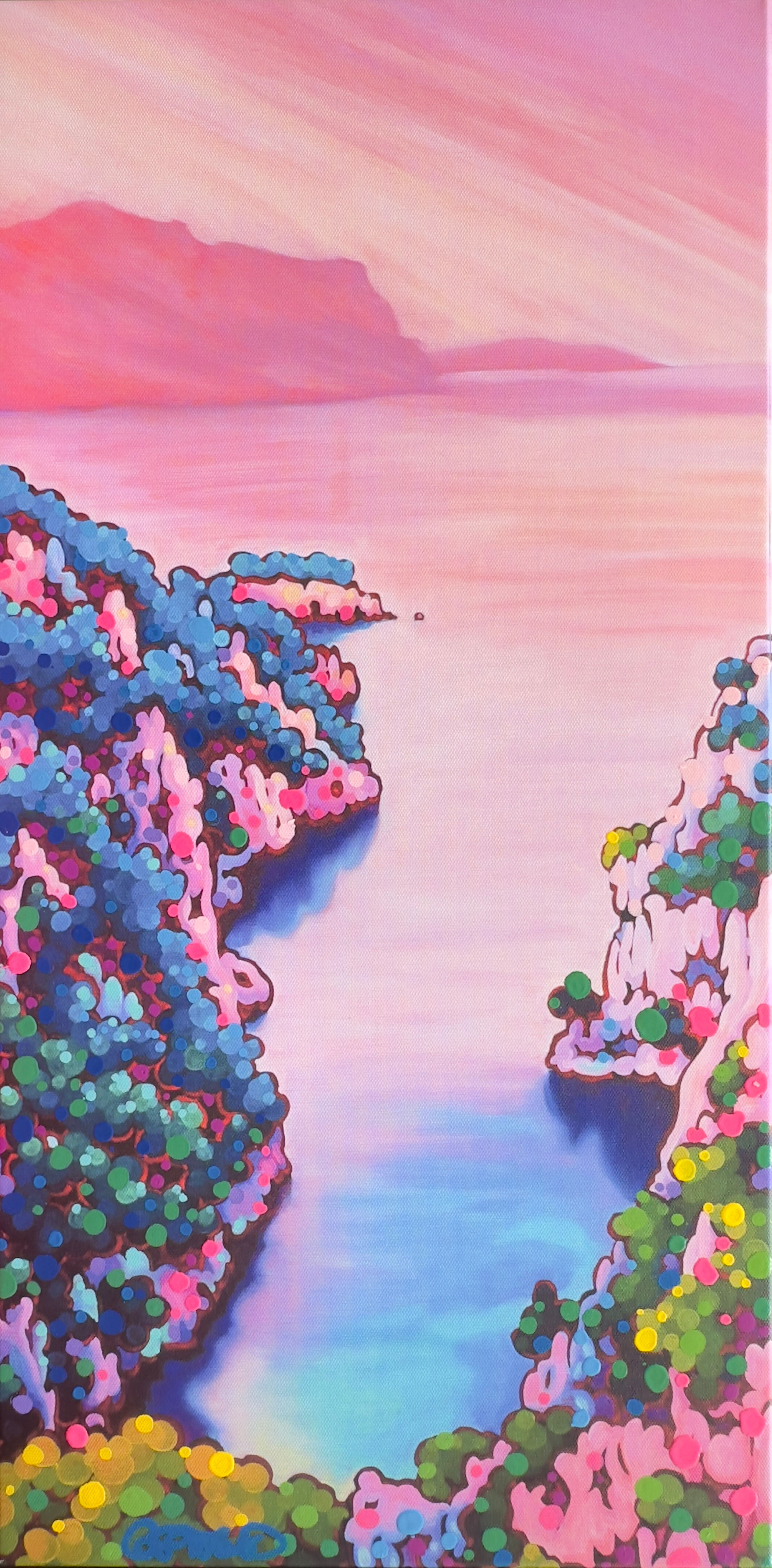 Calanque d'en-vau,vue du belvedère