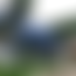 Vereadora de Camaquã pede instalação de câmeras nas salas de perícia do INSS