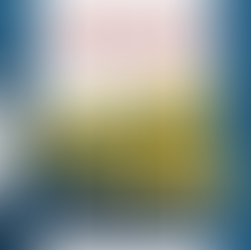 Moradores do Siá Juliana denunciam descumprimento da "Lei do Psiu" e falta de policiamento