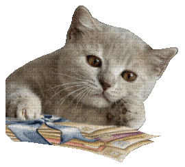 1377576_b58e0.gif