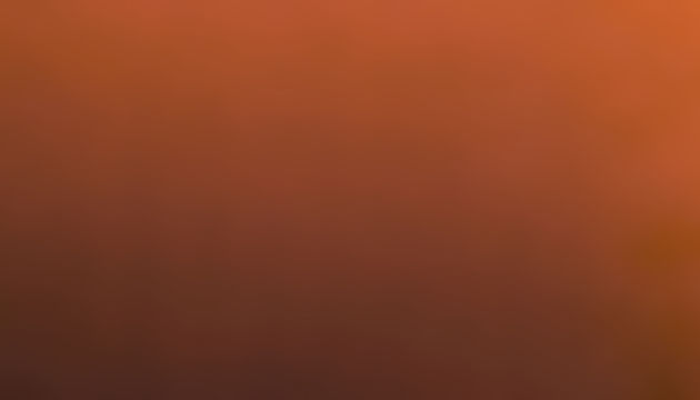 Edwards Cards_edited.jpg