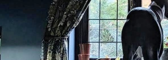 image of curtains