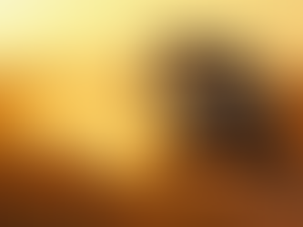 Experience the Best with Enjipai Safaris: Custom Safari Experiences in Tanzania